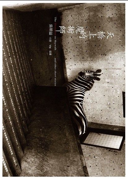 Cover of The Magician on the Skywalk